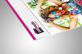 Reinaluminium 2mm stark (bedruckt) Reinaluminium 2mm stark (bedruckt)